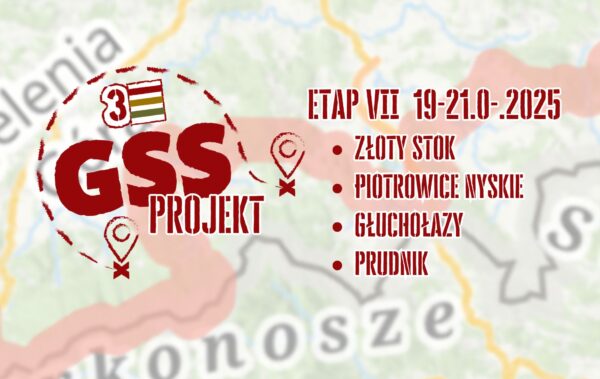 GSS Projekt - etap VII