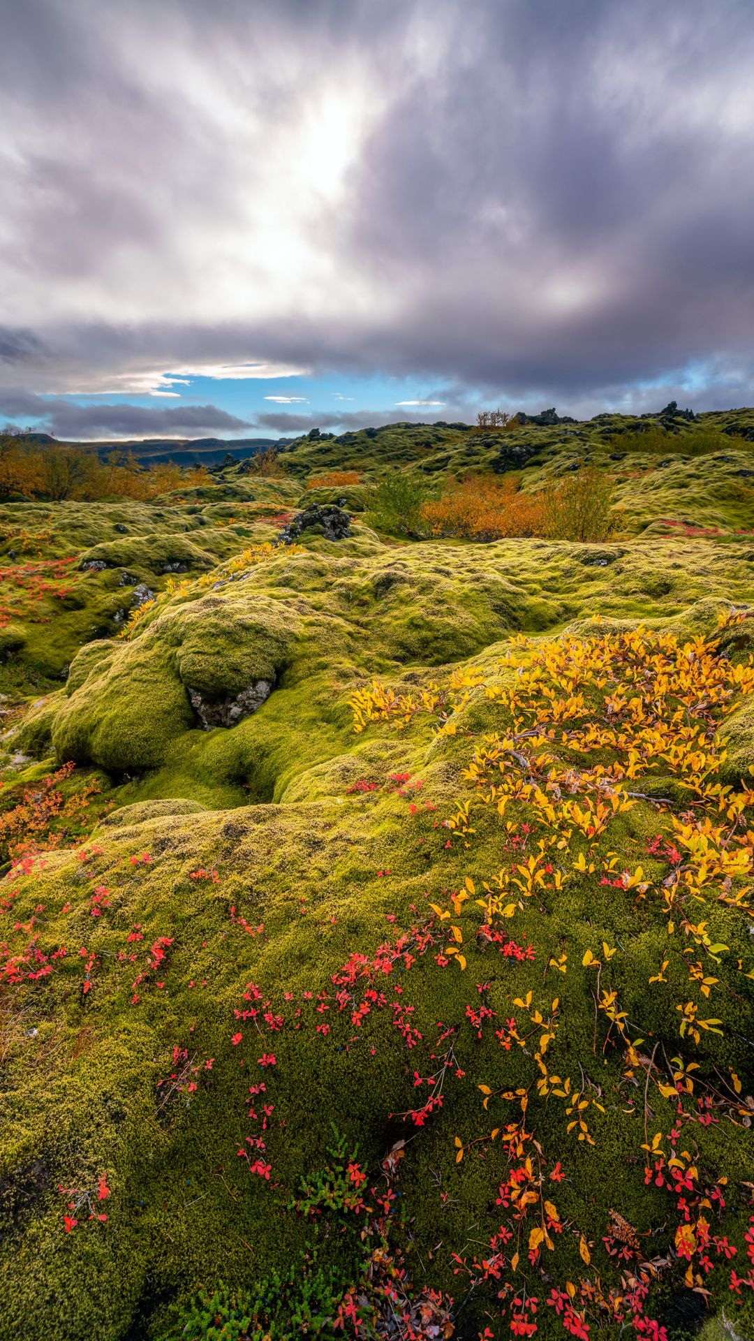 3SZALKI EXTRA Islandia 008